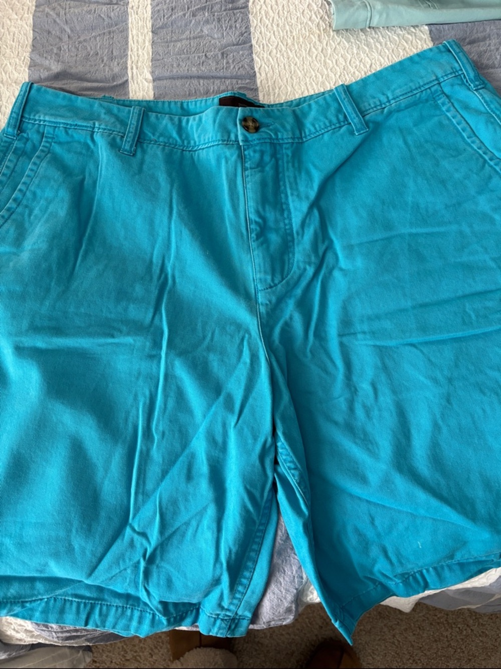 Black Brown 1826 Teal Blue Flat Front Men's Shorts